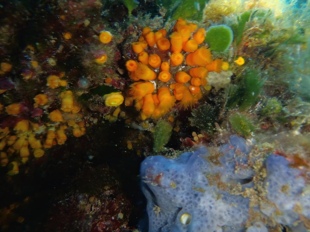 Casa Vacanza Le Farfalle Trapani Esterno foto