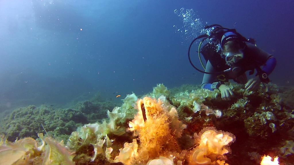 Casa Vacanza Le Farfalle Trapani Esterno foto