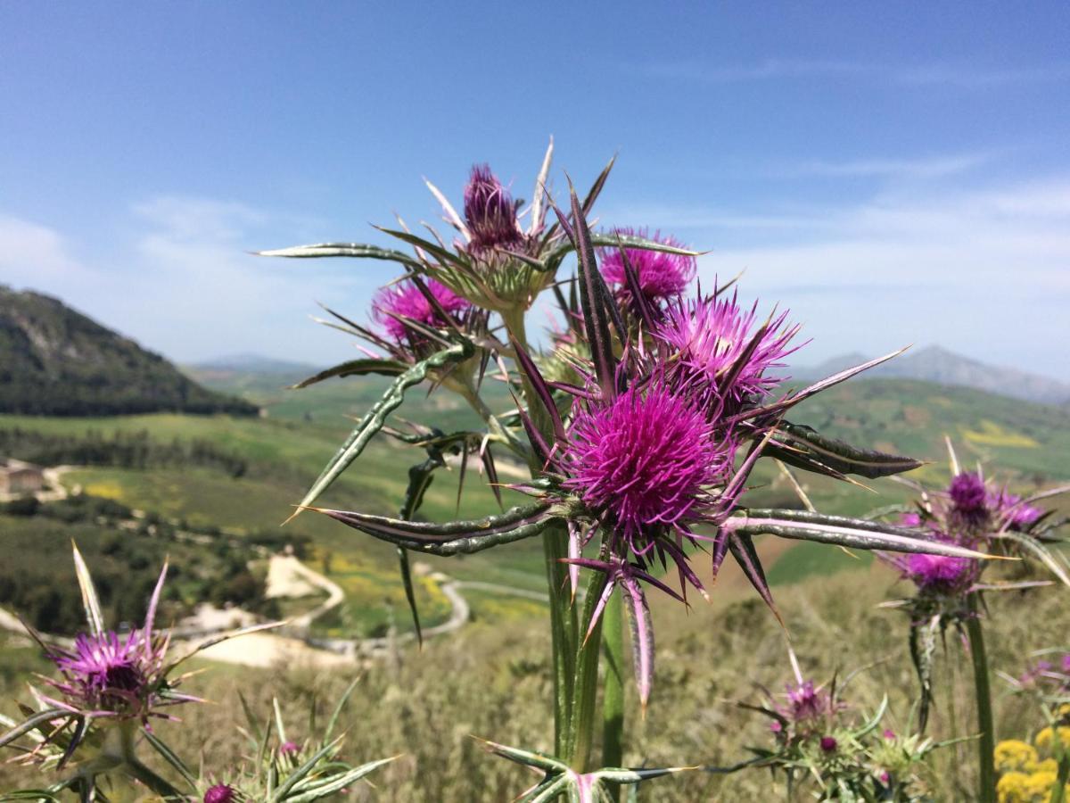 Casa Vacanza Le Farfalle Trapani Esterno foto